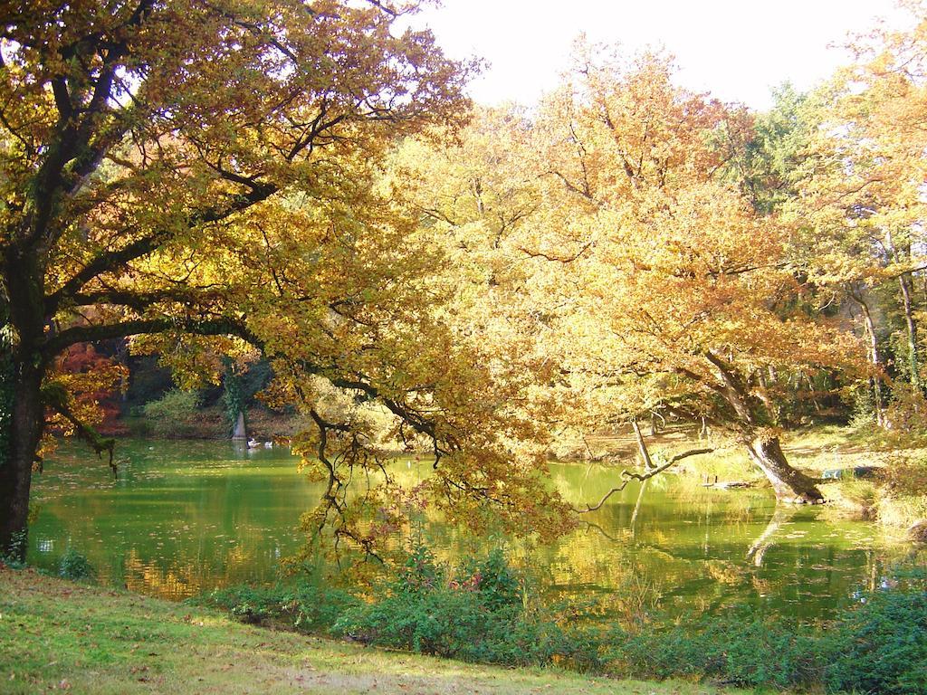 Poligné Chateau Du Bois Glaume الغرفة الصورة